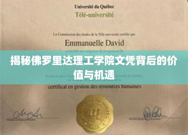 佛罗里达理工学院文凭，揭秘隐藏的就业优势与广阔发展前景