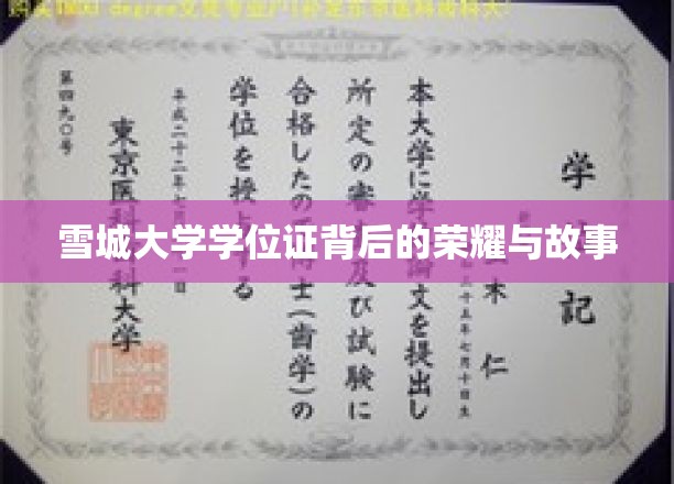雪城大学学位证，探寻荣耀背后的传奇篇章