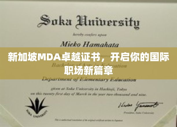 跨国职场通行证，新加坡MDA卓越证书引领你迈向全球就业新里程
