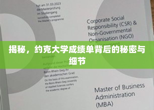 探寻约克大学成绩单，揭开学术成绩背后的神秘面纱