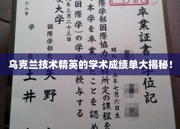 乌克兰科技精英学术实力大盘点，耀眼成绩单背后的故事