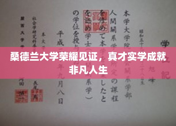 桑德兰学府荣耀映照，学子才华成就辉煌人生轨迹