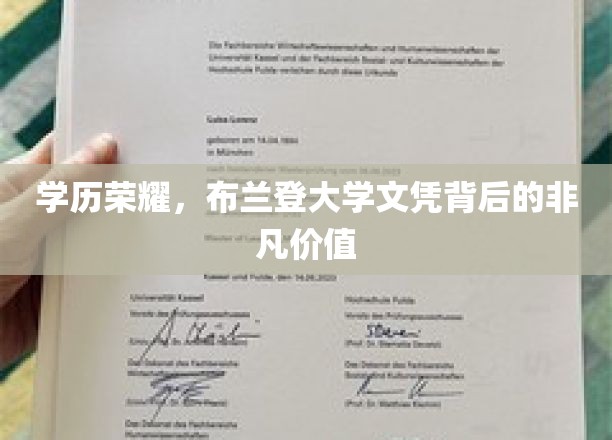 布兰登文凭之光，揭开高学历的隐藏魅力与无限可能