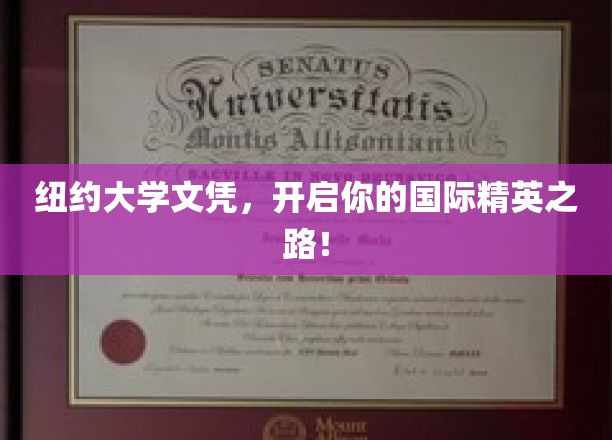 纽约大学学位，助你踏足全球精英行列