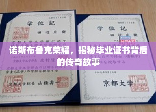 诺斯布鲁克荣耀之光，探寻毕业证书背后的传奇足迹