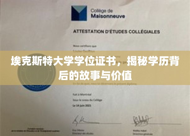 学历之光，埃克斯特大学学位背后的传奇与价值探秘