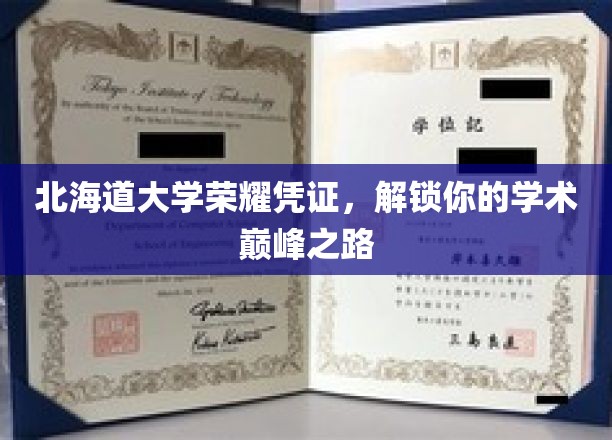 北海道大学荣耀凭证，解锁你的学术巅峰之路