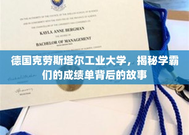 解码学霸秘籍，德国克劳斯塔尔工业大学揭秘学霸成绩单背后的精彩人生