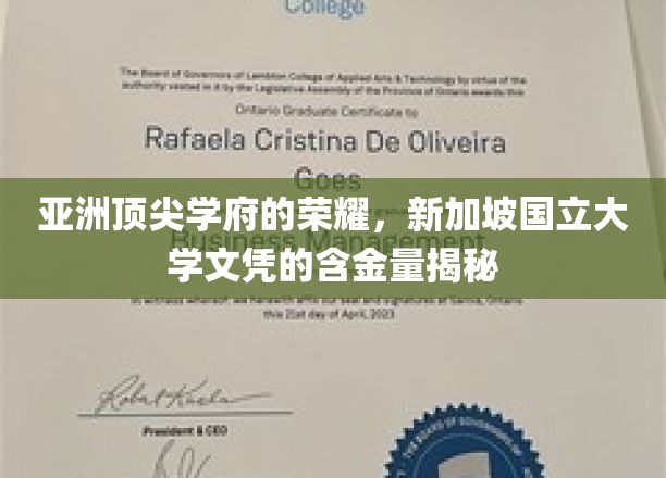 新加坡国立大学文凭，亚洲教育明珠的全球认可度解析