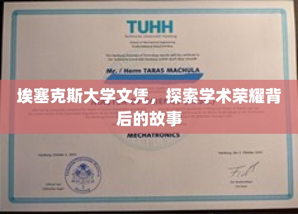 埃塞克斯荣耀，揭秘文凭背后的学术传奇