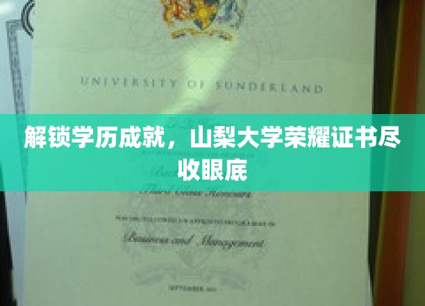 山梨大学荣耀瞬间，探索学历成就证书背后的辉煌