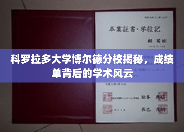 科罗拉多大学博尔德分校揭秘，成绩单背后的学术风云