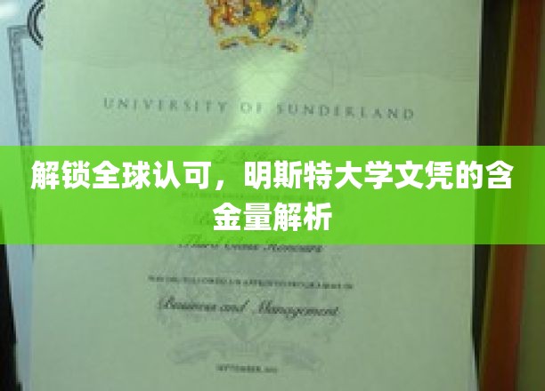 国际通行证的价值揭秘，明斯特大学学位的全球认可度大揭秘