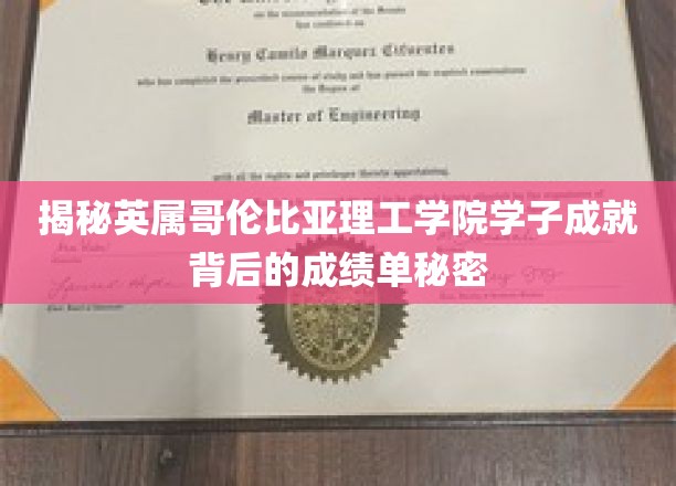 解码英属哥伦比亚理工学院卓越学子背后的实力秘籍