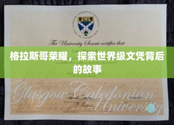 格拉斯哥之光，揭秘世界级文凭的辉煌历程