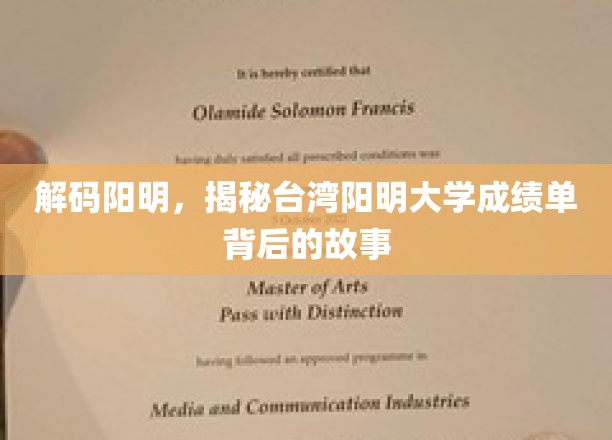 探寻阳明之光，台湾阳明大学成绩单背后的传奇篇章
