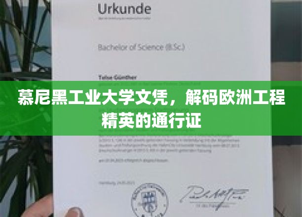 慕尼黑工业大学文凭，解锁欧洲工程精英的通行证