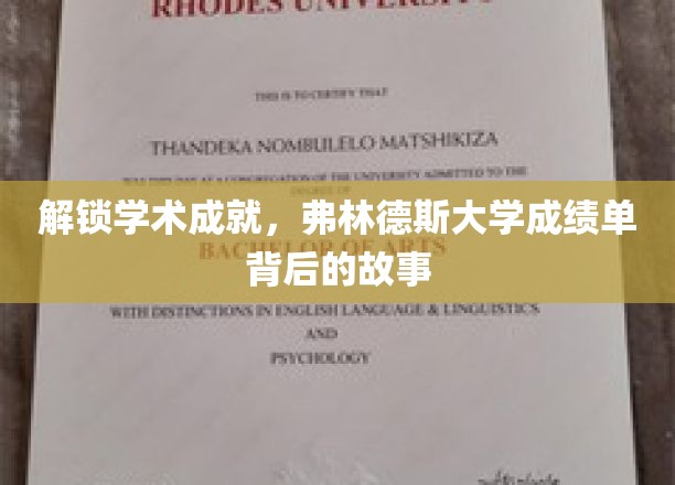 解码成就密码，一探弗林德斯大学成绩单的幕后传奇