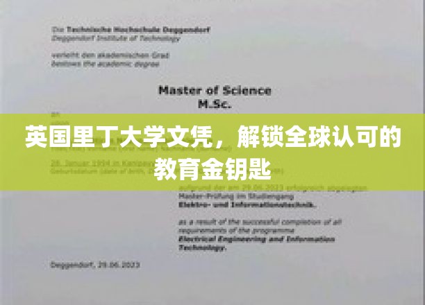 英国里丁大学文凭，开启全球认可的教育之门