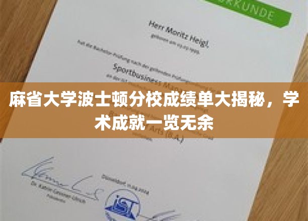探索麻省大学波士顿分校隐藏的学术荣耀，成绩单背后的真实实力大曝光