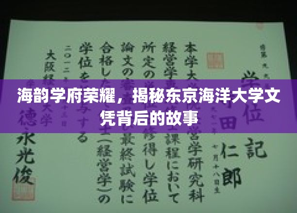 海韵学府荣耀，揭开东京海洋大学文凭背后的传奇故事