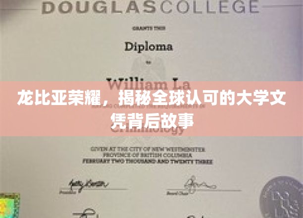 解码龙比亚荣耀，探索全球瞩目大学文凭背后的传奇之路