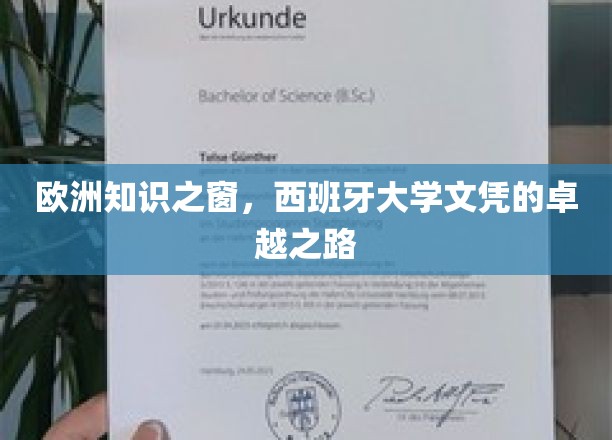 探索欧洲学术殿堂，西班牙大学文凭的辉煌起点