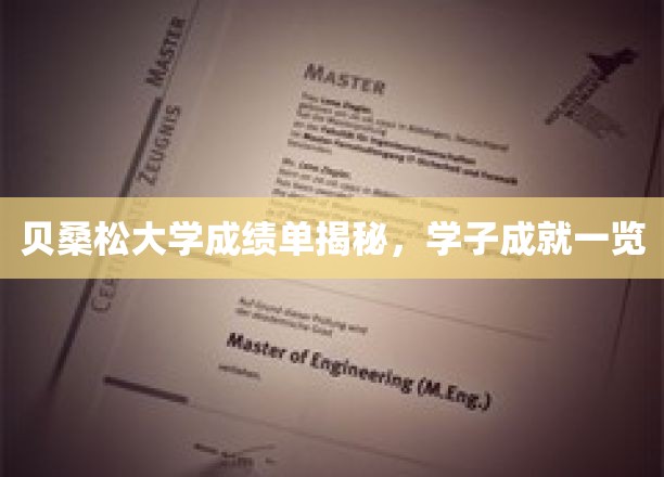 贝桑松大学成绩单揭秘，学子成就一览