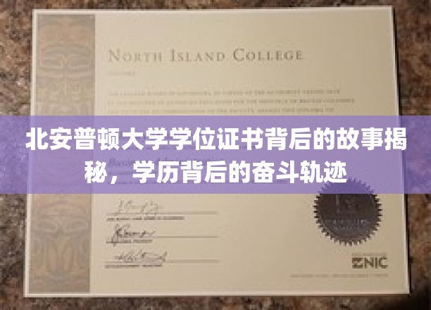 北安普顿大学学位证书背后的故事揭秘，学历背后的奋斗轨迹