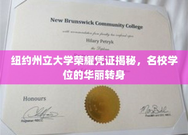 名校光环下的华丽逆袭，纽约州立大学学位证书的非凡历程