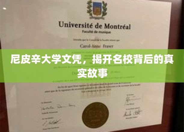 尼皮辛大学，揭开名校光环下的真实画卷