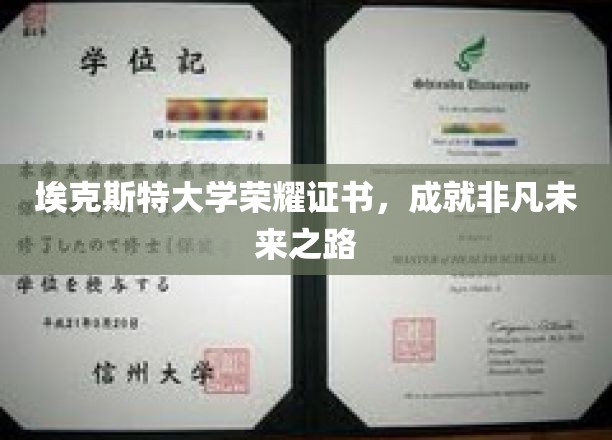 埃克斯特荣耀见证，开启非凡成就的辉煌起点