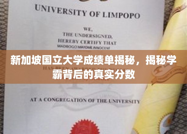 新加坡国立大学成绩单揭秘，揭秘学霸背后的真实分数