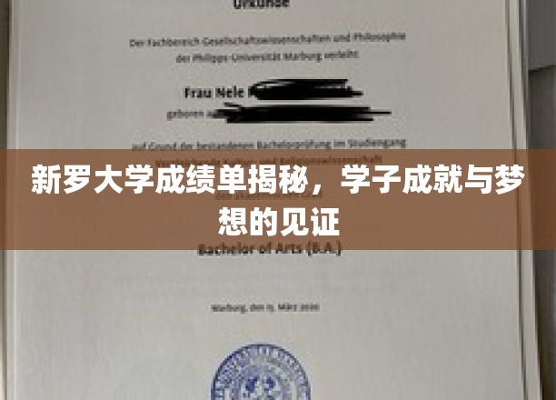 新罗大学成绩单揭秘，学子成就与梦想的见证