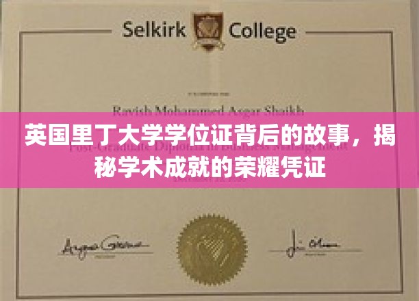 里丁大学学位证背后的传奇，探寻学术荣耀的非凡见证