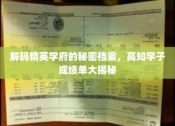 解码精英学府的秘密档案，高知学子成绩单大揭秘
