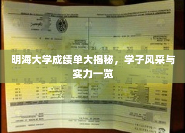 明海学子风采展，一纸成绩单见证实力与荣耀