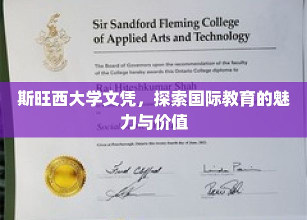斯旺西大学文凭，探索国际教育的魅力与价值