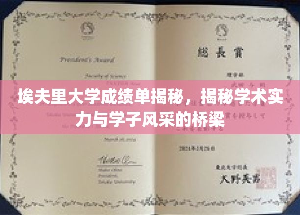 埃夫里大学成绩单背后，探析学术成就与青春风采的交汇点