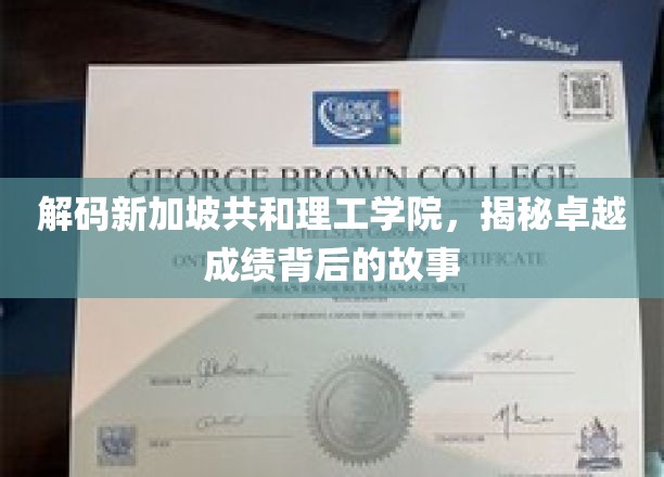 新加坡共和理工学院，探寻卓越成绩的育人秘籍