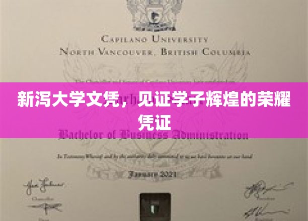 新泻大学荣耀证照，学子成就的璀璨印记