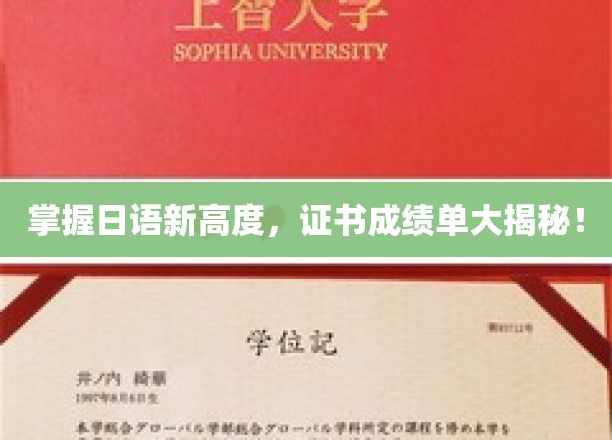 掌握日语新高度，证书成绩单大揭秘！