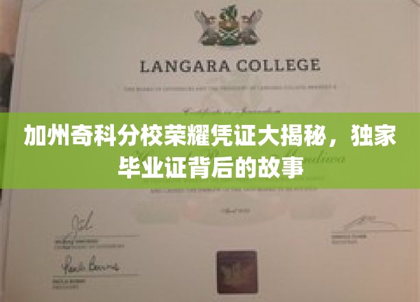 加州奇科分校荣耀凭证大揭秘，独家毕业证背后的故事