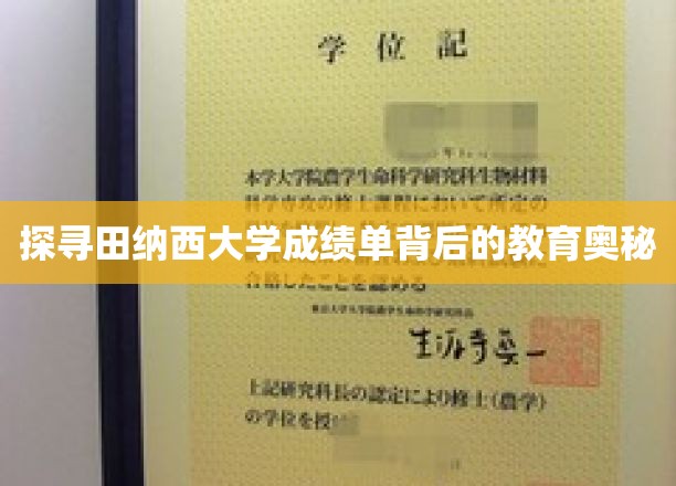 探寻田纳西大学成绩单背后的教育奥秘