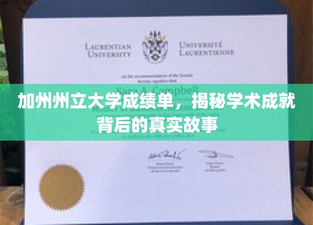 解码加州州立大学，揭开学生卓越成就的幕后篇章