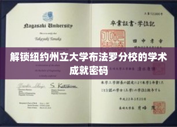 揭秘布法罗分校，解码学术卓越之谜