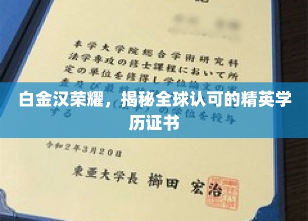 白金汉荣耀，揭秘全球认可的精英学历证书