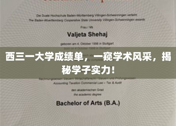 西三一大学成绩单大揭秘，学霸风采与学术实力尽收眼底