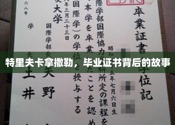 毕业证书背后的传奇，特里夫卡拿撒勒的神秘旅程