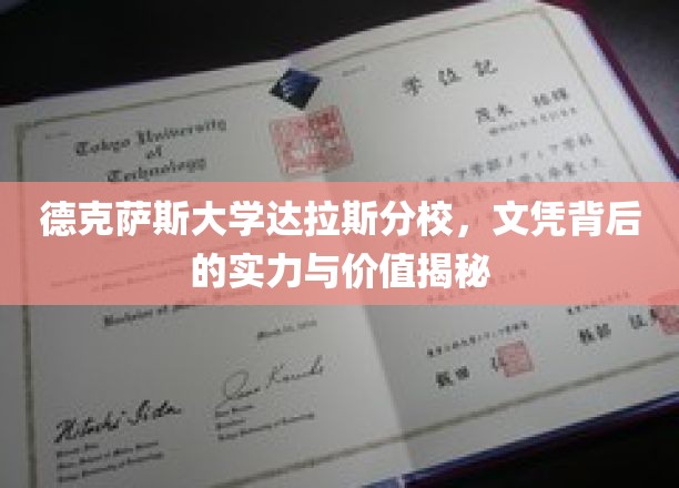 德克萨斯达拉斯分校，揭开文凭背后的非凡实力与价值之谜